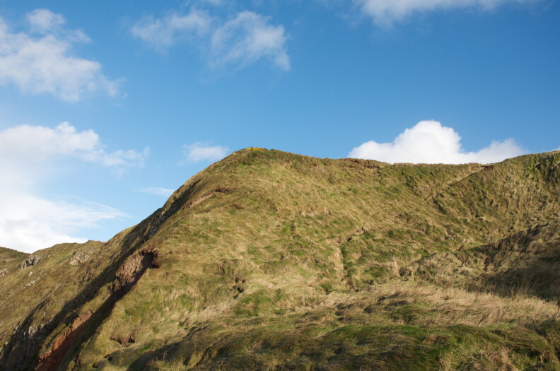 A grassy hill.