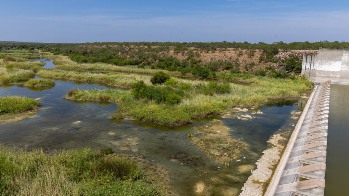 Another hot, dry summer may push parts of Texas to the brink - Vimarsana News