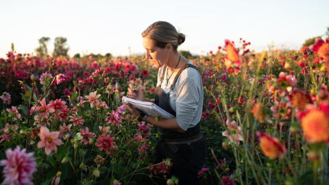 All photos by Chris Benzakein, courtesy of Floret Flower Farm, all rights reserved.