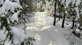 Winter has finally arrived in the Northwoods.