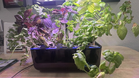 A hydroponic farm growing several different plants and herbs