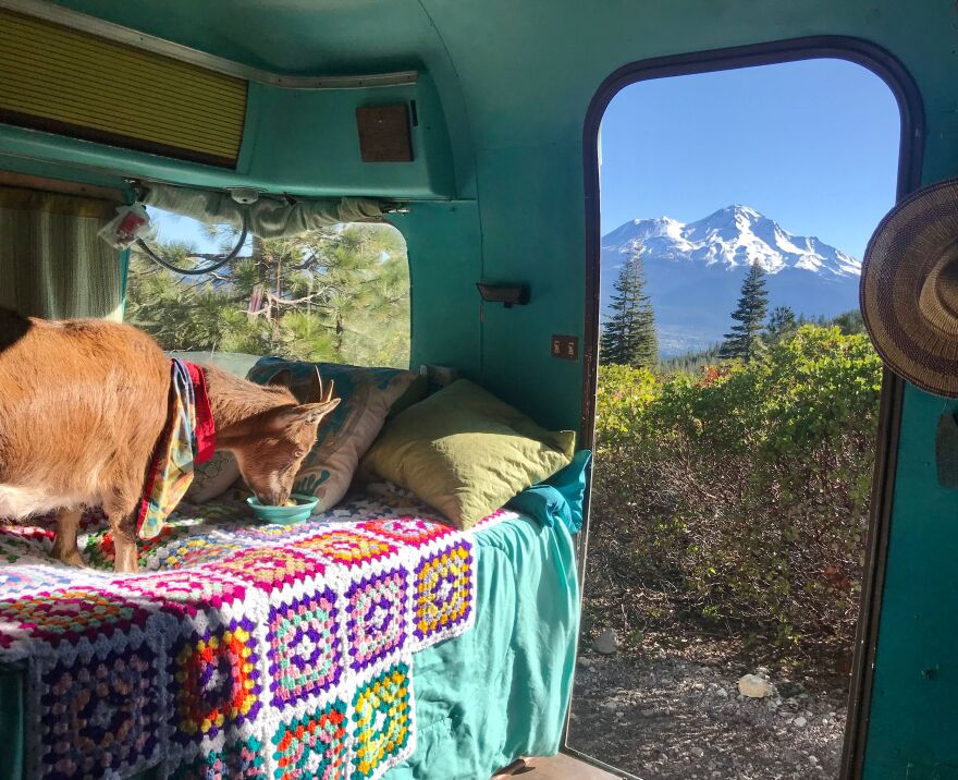 Frankie has a snack before hitting another Oregon trail.