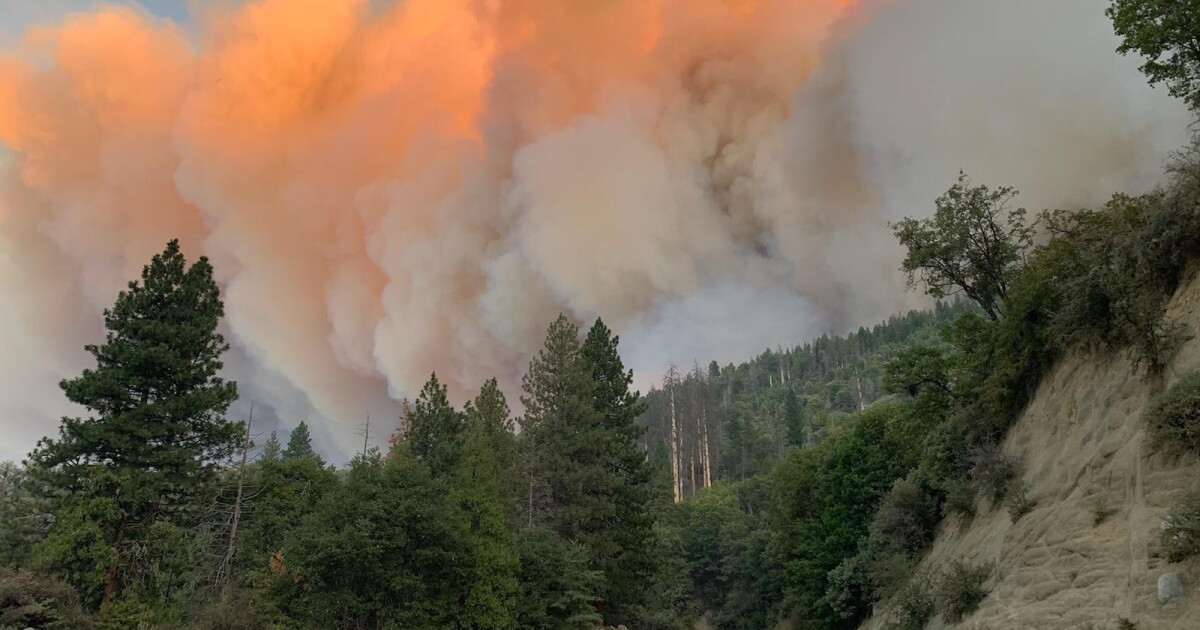 Wildfire Smoke In 2020 Led To More Valley COVID Cases, Deaths, Says New ...