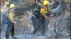 Mac Sparks, of the Fulton Hot Shots from Glennville, Calif., uses a chain saw to separate burning wood so the rest of the tree won't catch fire.