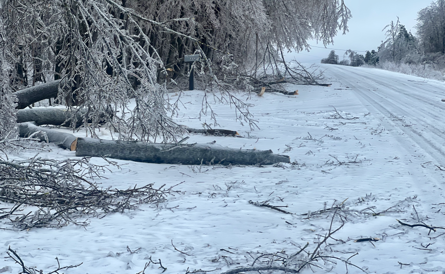 Branches, limbs and even whole trees were toppled by the ice storms that hit northern Michigan beginning March 29, 2025. Here, debris lies along the side of Polish Line Road in Cheboygan. (Photo: Michael Livingston/IPR News)