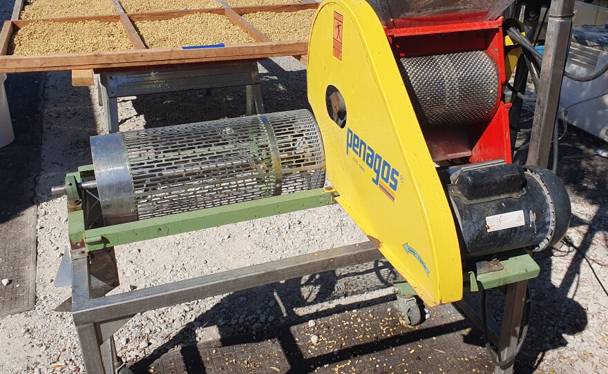 This mill removes the skins of the cherries either, before the fruit is fermented off the beans, or after the cherries have dried.