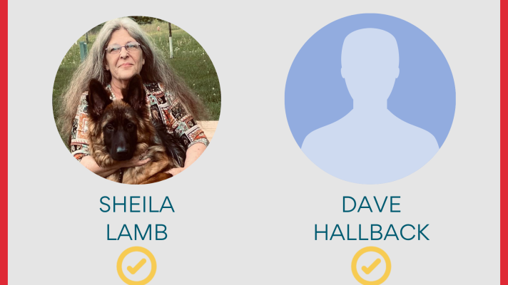 Council member Sheila Lamb and former Mayor Dave Hallback will both advance to the Cloquet mayoral general election on Nov. 3, 2026.