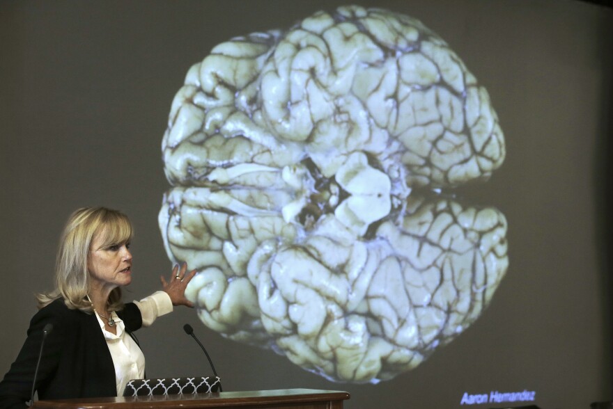 Dr. Ann McKee, a neuropathologist who directs Boston University's CTE Center, speaks about CTE.