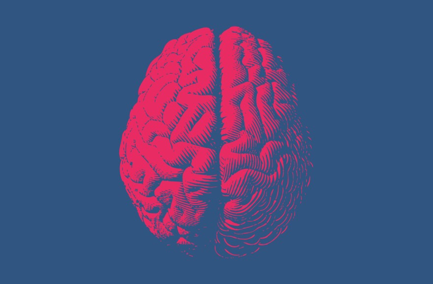 A pink illustration of the human brain on a blue background