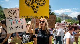 Protesters hold up signs at a protest outside the Texas state capitol in Austin, Texas.