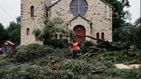 A tree lays in front of the Urbana Swedenborgian Church on South Main Street in Urbana.