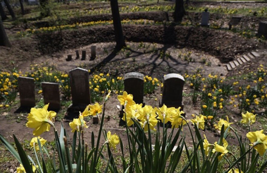 In addition to planting 15,000 daffodil bulbs in "The Kettle" of Mount Hope Cemetery, Bill and Mykel Whitney have restored the tiered contours of land that were the vision of the cemetery's designer in 1840.