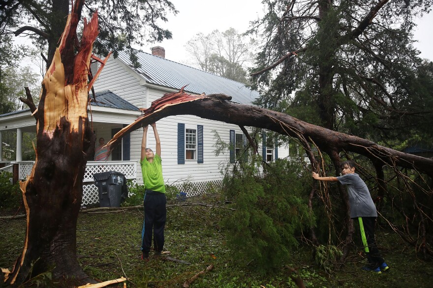 Jacob Fernandez (left) and Josh Fernandez play around on the tree that fell near their home when Hurricane Florence passed through the area on Friday in Bolivia, N.C.