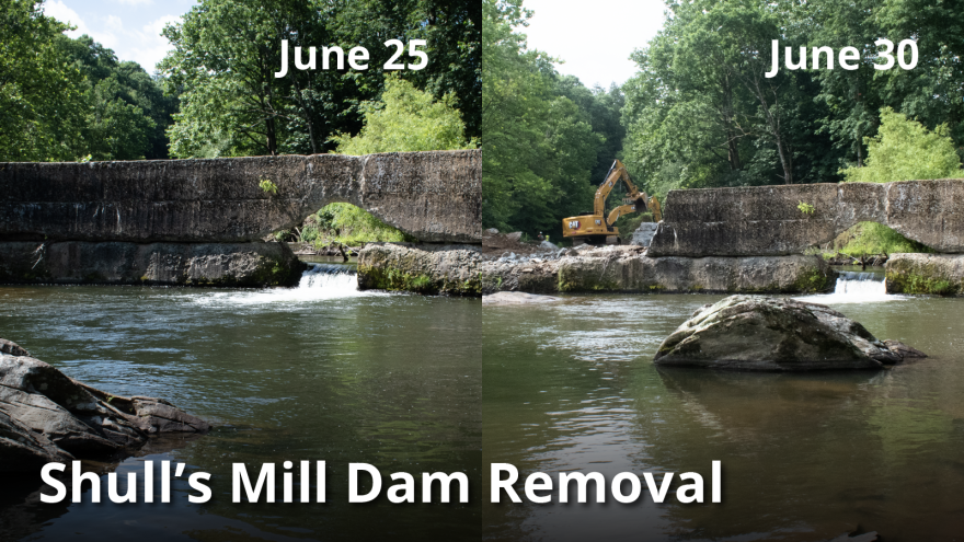 The Shull’s Mill Dam removal will take a couple weeks to finish. The U.S. Fish and Wildlife Service Aquatic Restoration Team will need to reroute the water before removing the next section of the dam.