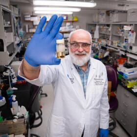 Brian Stevenson, PhD -Microbiology, Immunology, and Molecular Genetics