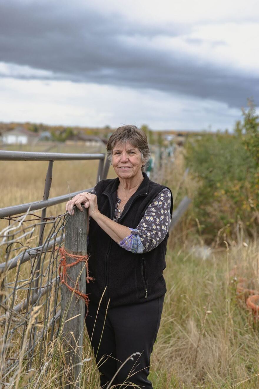 A woman stands in a grassy field leaning against a metal and wood fence.
