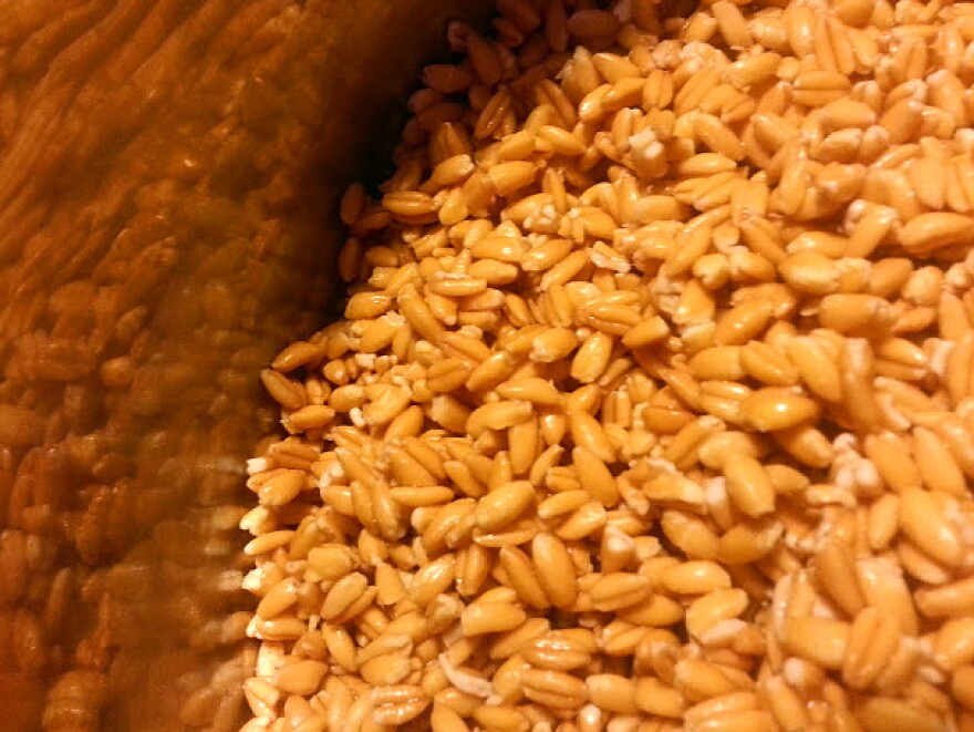 Farro is a type of grain with a nutty flavor and ancient roots.