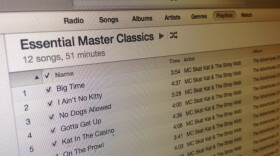 The "Playlist" feature will help keep you from losing track of the albums you absolutely must hear.