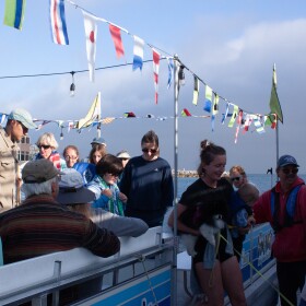 Flags strung around the top of the boat move in a slight breeze while many people stand and prepare to step off the boat. A woman holding a toddler under one arm and a dog under the other is stepping from the boat onto the dock while a man in a life vest holds open the boat's gate.