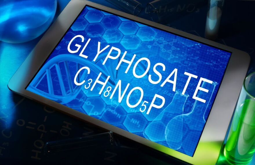While the Environmental Protection Agency has not listed glyphosate as carcinogenic, it can persist in the environment for days or months. Its intensive and large-scale use can constitute a major environmental and health problem, according to the National Library of Medicine.