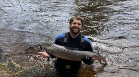 Doug Larson, an MSU researcher, poses wDuring the spawning season, researchers from MSU, the DNR, and tribal fisheries catch sturgeon, collect data, and check the fish for tags before releasing them back into Black River. 