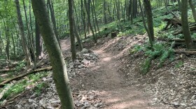 A trail head in the woods.
