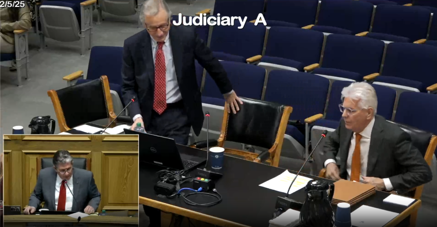 Former Missouri State Insurance Commissioner Jay Angoff (left, standing) testified on February 5, 2025, before the Louisiana Senate Judiciary A Committee.