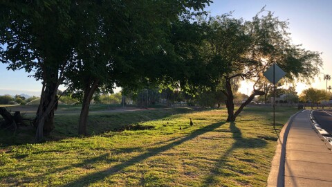 In this April 20, 2020, photo, a duck and her ducklings waddle along the greenbelt in Scottsdale, Ariz. For many, a morning run offers a quiet interlude in chaotic lives. Amid the coronavirus pandemic, they have become even more essential: an endorphin-rich routine that provides fresh air and clears the mind for the day ahead. (AP Photo/Alina Hartounian)