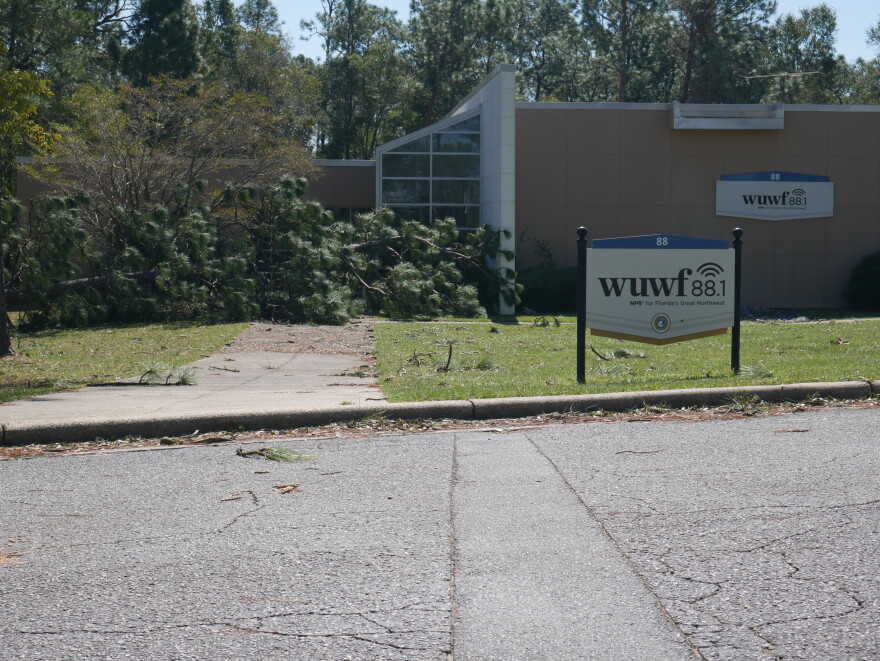 A fallen pine blocks the walkway outside WUWF's studios on the University of West Florida campus after Hurricane Isaias. The tree narrowly missed the building, according for UWF President, Manny Diaz Jr.