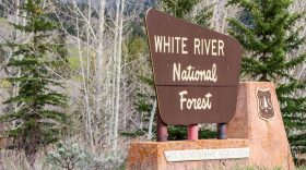 A brown sign surrounded by trees says White River National Forest
