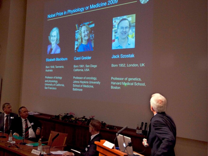 Rune Toftgard (right) presents portraits of the Nobel Prize winners for Medicine 2009 at the Nobel Forum of the Karolinska Institute in Stockholm.