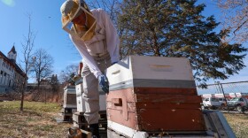 Beekeeper Mark Welsh checks on his bee hives in a community garden in Omaha, Nebraska, on March 9, 2026. Welsh lost nine of his hives last year during a widespread honeybee die-off.