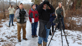 A group of birders try to identify a group of birds perched in a tree at Council Grove State Park during the Christmas Bird Count.