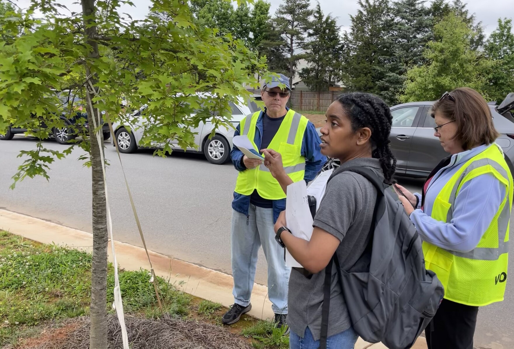 Residents are helping catalog Charlotte's shrinking tree canopy WFAE 90.7 Charlotte's NPR