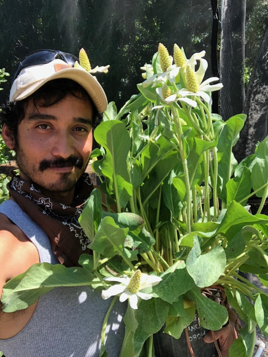 Photos courtesy of Ernesto Alvarado, all rights reserved.