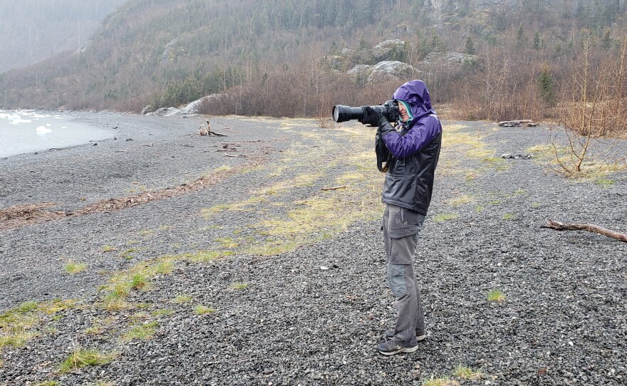 Molly Watson photographing a swallow over Grewingk Glacier Lake on May 12, 2024.