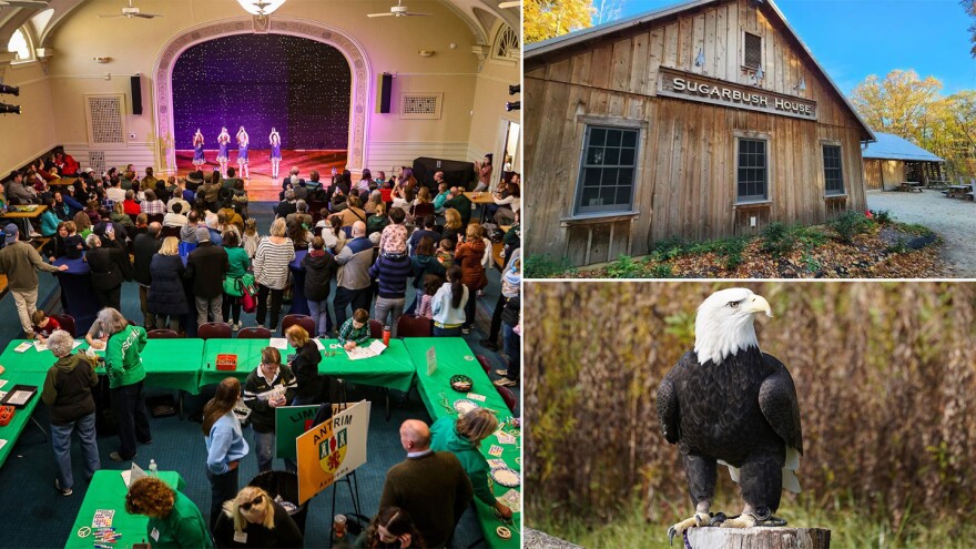 (Clockwise from left) Irish Family Day at Celtic MKE Center, Sugarbush House at Riveredge Nature Center and one of Schlitz Audubon Nature Center's resident raptors.