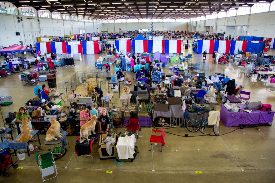 Grooming tables line the floors of Dallas Market Hall during the bi-annual Lone Star State Classic Dog Show on July 9.