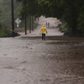 Fire Captain Lui Sales of the Hawaiʻi Fire Department looks for residents to help as rainwater from nearby Hurricane Nolo flood a section of Māmalahoa Highway Saturday, Sept. 26, 2026, near Nāʻālehu, Hawaiʻi.