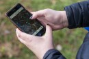 Elizabeth Carlen, a postdoctoral research associate at Washington University in St. Louis, shows other reported sightings of plants on iNaturalist, a community scientist mobile app, on her phone, on Monday, March 18, 2024, in Fairground Park in Fairgrounds. Carlen notes the park’s lack of low-terrain features like bushes and hills as a policing tactic, which adversely also affects Eastern Gray Squirrels and other wildlife in parks in low-income neighborhoods.