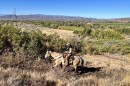 A rider travels along trails above Pinion Lane in Oakley.
