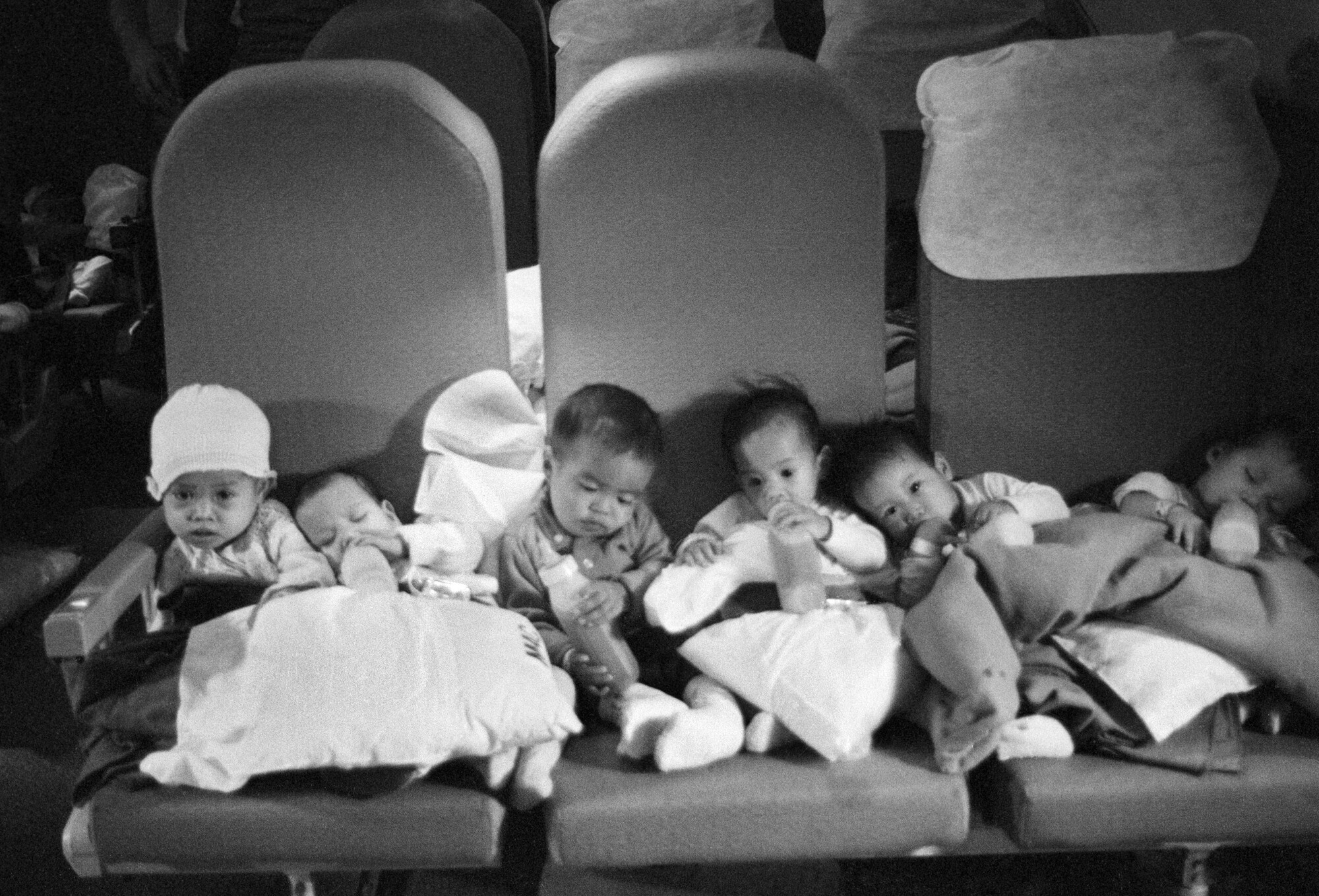 The Conversation: Hana hou show on Vietnam and Operation Babylift