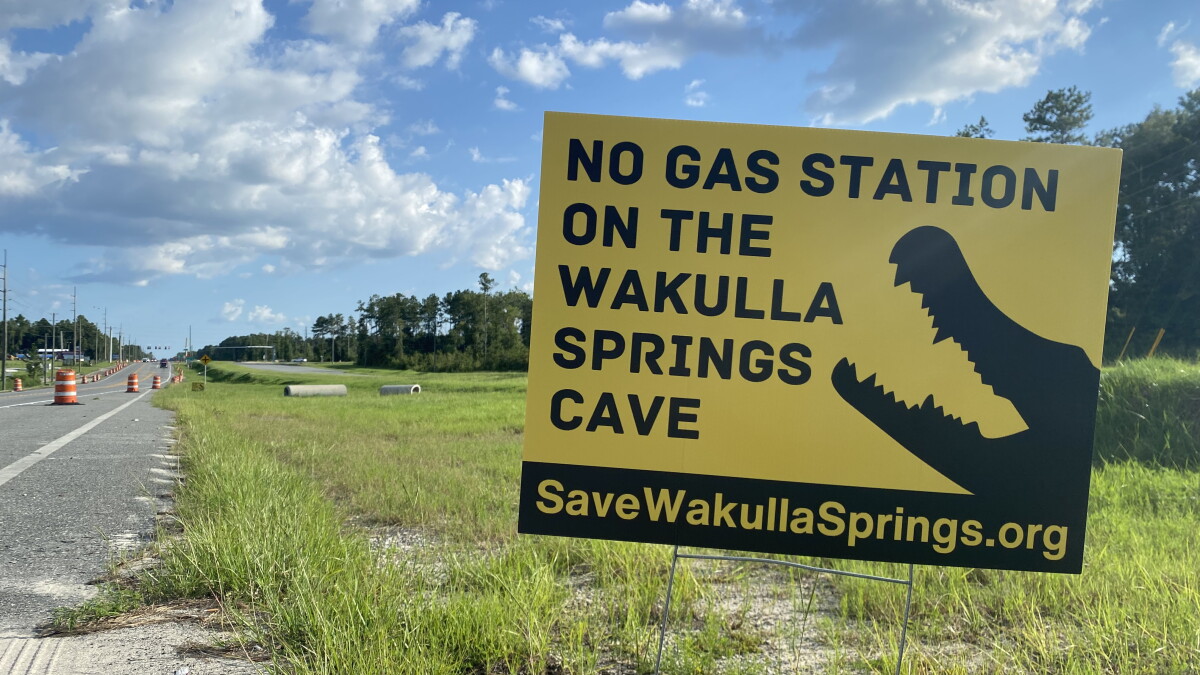Wakulla Springs property could soon be slated for environmental protection - Vimarsana News