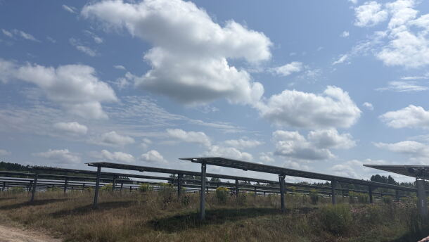 Hodag Solar Park is the first large-scale solar facility in the northwoods and powers local homes and businesses.
