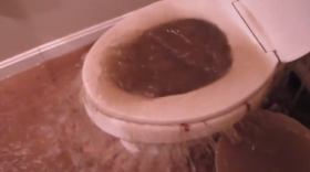 Raw sewage and stormwater backing up into a toilet in a Muddy Creek home in 2019.