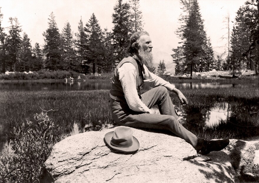 John Muir was a Scottish-born American naturalist, engineer, writer and pioneer of conservation. He campaigned for preservation of U.S. wilderness including Yosemite Valley and Sequoia National Park, and founded The Sierra Club.