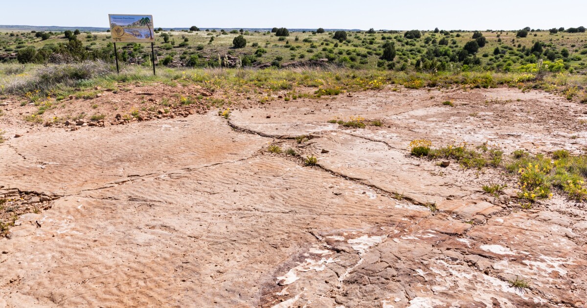 Landowner closes Black Mesa dinosaur track site to the public after trespassers cause concern