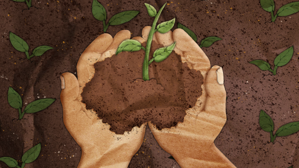 An illustration of two light-skinned hands cupped together holding a hand-full of soil. There is a green plant sprouting from the pile of brown soil the hands are holding. There is brown soil in the background with similar green sprouts. 