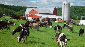 Franklin Foods in Enosburg Falls has been making cream cheese with Vermont milk since 1899. The plant will close next month.