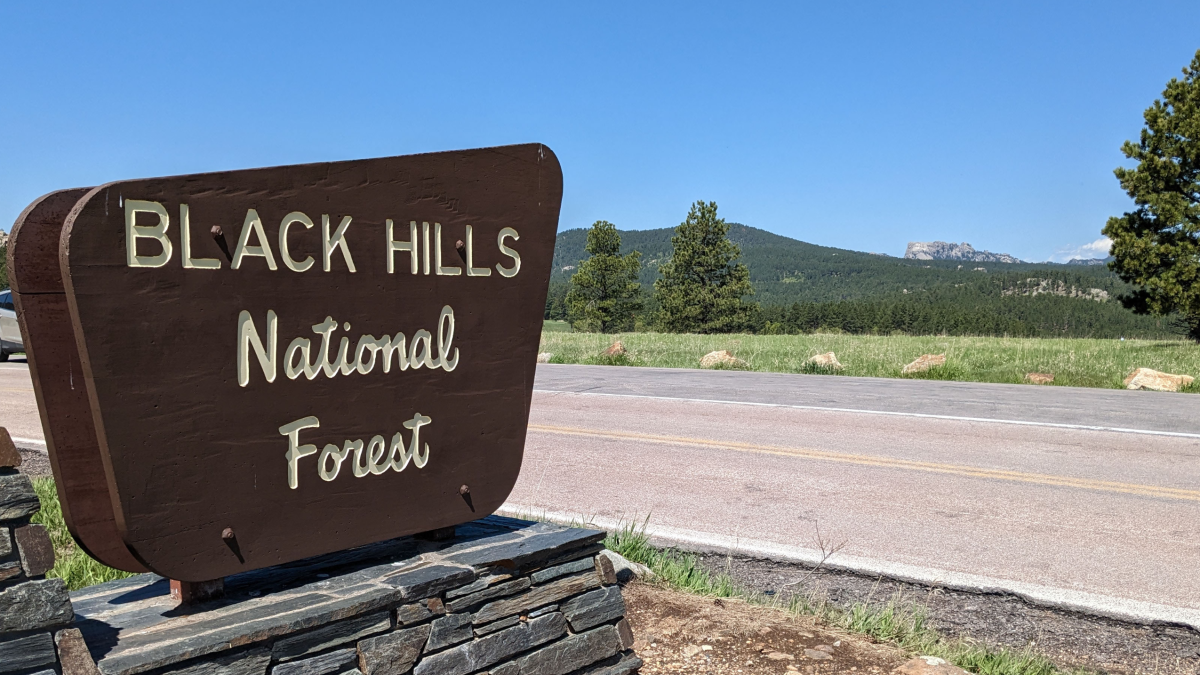 Thinning project proposed for Black Hills - Vimarsana News